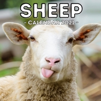 Sheep Calendar 2021: 16-Month Calendar, Cute Gift Idea For Sheep Lovers Women & Men B0948FFBMF Book Cover