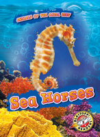 Sea Horses 1644875055 Book Cover