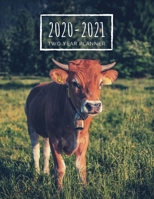 Two Year Planner 2020-2021: Cow Planner January 1, 2020 to December 31, 2021 Weekly & Monthly Planner + Calendar Views Animal 2 Year Calendar 24 Month Agenda Planner Cow Lovers Gift 1672130492 Book Cover