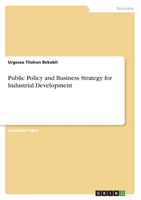 Public Policy and Business Strategy for Industrial Development 3346459667 Book Cover