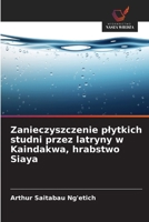 Zanieczyszczenie plytkich studni przez latryny w Kaindakwa, hrabstwo Siaya (Polish Edition) 6208290856 Book Cover