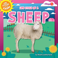 Life Cycle of a Sheep B0CVFRW6GY Book Cover