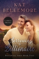 Borrowing a Billionaire: Large Print 1386224944 Book Cover
