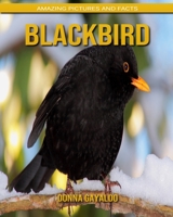 Blackbird: Amazing Pictures and Facts B088B5SXCM Book Cover