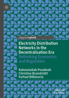 Electricity Distribution Networks in the Decentralisation Era: Rethinking Economics and Regulation 3030980685 Book Cover