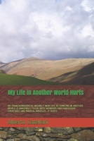 My Life in Another World Hurts: My Phantasmagorical Insanely New Life as Someone in Another World Is Amazingly Filled with Wonders and Fantasious Crea B08GTL77GZ Book Cover