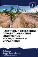 ЧАСТИЧНЫЙ СТЕБЛЕВОЙ ПАР& 6205268825 Book Cover