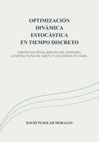 OPTIMIZACIÓN DINÁMICA ESTOCÁSTICA EN TIEMPO DISCRETO: UNA APLICACIÓN AL ANÁLISIS DEL CONSUMO, LA ESTRUCTURA DEL GASTO Y LAS CURVAS DE ENGEL (Spanish Edition) 8409906554 Book Cover