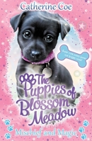 Mischief and Magic (Puppies of Blossom Meadow 2) 140719867X Book Cover