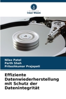 Effiziente Datenwiederherstellung mit Schutz der Datenintegrität (German Edition) 6202224991 Book Cover