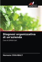 Diagnosi organizzativa di un'azienda: Caso di CERIGE-Sarl 6204046144 Book Cover