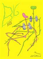 Big Kids 1770462244 Book Cover