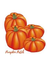 Pumpkin Patch: Thanksgiving Sketch Book consisting of a 100 pages with a gorgeous thanksgiving glossy cover 172727928X Book Cover