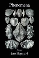 Phenomena B0H7DZ7NY8 Book Cover