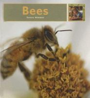 Bees (My First Look at: Insects) (My First Look at: Insects) (My First Look At: Insects) 1583414541 Book Cover