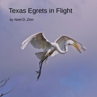 Texas Egrets in Flight B0CLJZZ41K Book Cover