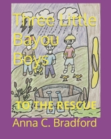Three Little Bayou Boys to the Rescue B0C9GDQ3RM Book Cover