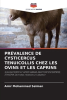 Prévalence de Cysticercus Tenuicollis Chez Les Ovins Et Les Caprins (French Edition) 6209532519 Book Cover