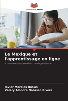 Le Mexique et l'apprentissage en ligne 6205566524 Book Cover