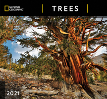 National Geographic Trees 2021 Wall Calendar 1772184918 Book Cover