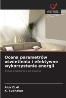 Ocena parametrów oswietlenia i efektywne wykorzystanie energii (Polish Edition) 6630421620 Book Cover
