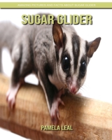 Sugar Glider: Amazing Pictures and Facts about Sugar Glider B084DGMM4L Book Cover