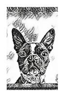 Boston Terrier 1074406206 Book Cover