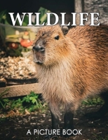 A Picture Book of Wildlife: Colorful Pages for Alzheimer's Patients and Seniors with Dementia - Relaxation and Stress Relief B0CN5C7PCY Book Cover