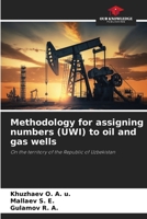 Methodology for assigning numbers (UWI) to oil and gas wells 6209218911 Book Cover