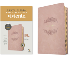 Biblia Letra Súper Gigante Ntv, Con Filament (Sentipiel, Rosado Pálido, Índice, Letra Roja) B0GQP46496 Book Cover