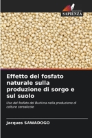 Effetto del fosfato naturale sulla produzione di sorgo e sul suolo (Italian Edition) B0FB38HGCM Book Cover