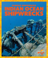 Indian Ocean Shipwrecks B0CJCNLBK4 Book Cover