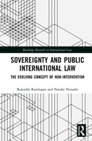 Sovereignty and Public International Law: The Evolving Concept of Non-Intervention (Routledge Research in International Law) 1041215940 Book Cover