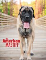 The American Mastiff 0615670431 Book Cover