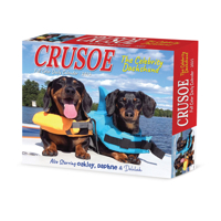 2026 Crusoe the Celebrity Dachshund Box 1549254081 Book Cover