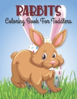 Rabbits coloring book for Toddlers: Beautiful rabbits coloring book coloring bunnies coloring book for 3-6-8-10 years old kids B08R64MPKP Book Cover