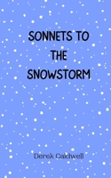 Sonnets to the Snowstorm 9916945004 Book Cover