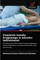 Zwężenie kanalu kręgowego w odcinku lędźwiowym 6203545015 Book Cover