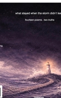 what stayed when the storm didn't leave: fourteen poems . two truths B0GBXYMWB6 Book Cover