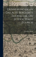 Erinnerungen an Das Alte Berühmte Tolbiacum, Die Jetzige Stadt Zülpich 1016260164 Book Cover