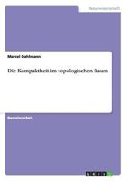 Die Kompaktheit im topologischen Raum 3656767408 Book Cover