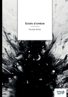 Éclats d'ombre (French Edition) B0GJRYDJS9 Book Cover