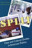 Split: Class And Cultural Divides in American Politics 0872892980 Book Cover