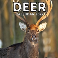 Deer Calendar 2022: 16-Month Calendar, Cute Gift Idea For Deer Lovers Women & Men null Book Cover