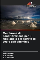 Membrana di nanofiltrazione per il riciclaggio del solfato di sodio dall'alluminio (Italian Edition) 6209674283 Book Cover