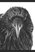 The Raven's Tide B0FPFCR3QJ Book Cover