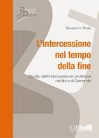 Intercessione Nel Tempo Della Fine: Studi Dell'intercessione Profetica Nel Libro Di Geremia 8876533575 Book Cover