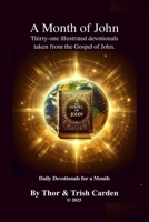 A Month of John: Thirty-one illustrated devotionals taken from the Gospel of John 1105959341 Book Cover