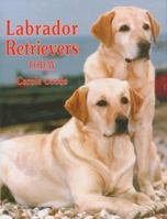Labrador Retrievers Today 094895518X Book Cover