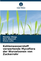 Kohlenwasserstoff verwertende Mycoflora der Wurzelzonen von Zuckerrohr 6205797100 Book Cover